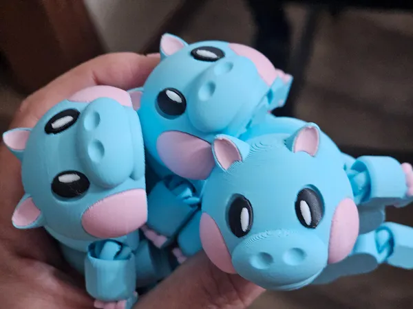 https://makerworld.bblmw.com/makerworld/model/US7dc1b95b44d6e4/design/2025-06-17_5febf76630554.jpg