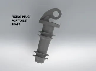 Fixing plug for WC