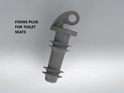 Fixing plug for WC