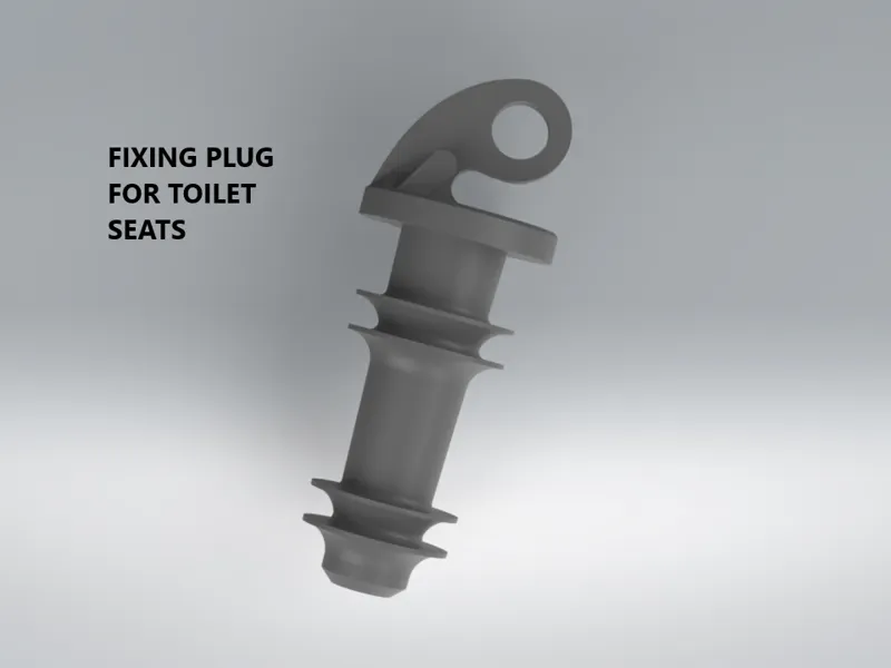 Fixing plug for WC