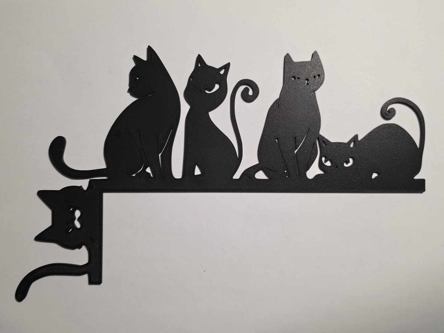 Curious Cats