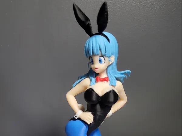 https://makerworld.bblmw.com/makerworld/model/US7dcccac9ba29e8/design/2025-09-20_bb802ce745f6c.jpg