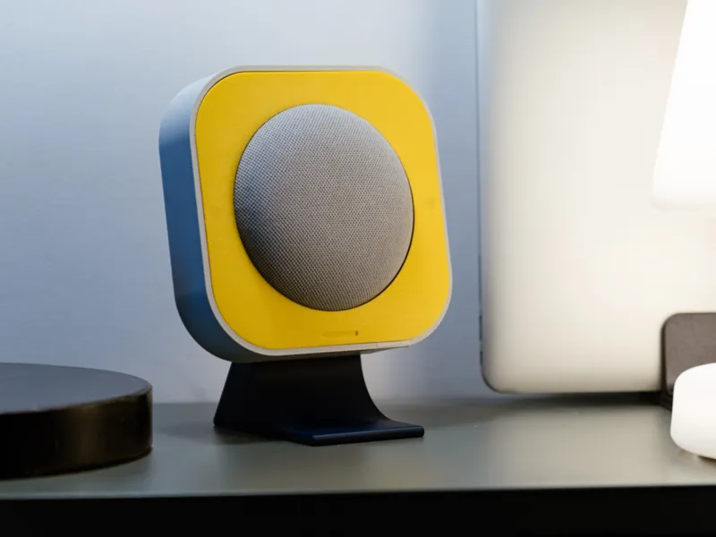 Nest Mini Open Case