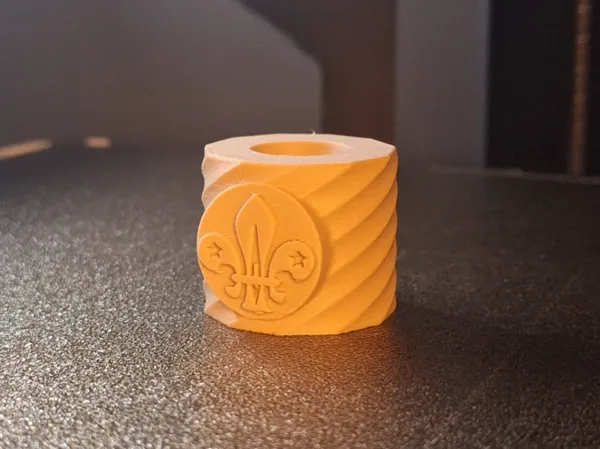 https://makerworld.bblmw.com/makerworld/model/US7dd086cdfaba6f/design/2025-01-20_de2725338ba84.jpg