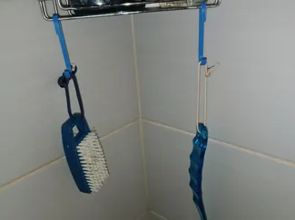 Shower hook