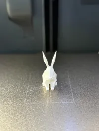 No supports, 0.16mm layer, 2 walls, 10% infill