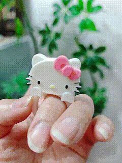 https://makerworld.bblmw.com/makerworld/model/US7dd6d701b66730/design/2025-10-06_06e970930041c.gif