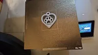 Spinner patte dans un cœur — photo 8