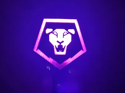 Saja Boys light stick topper for flashlight 