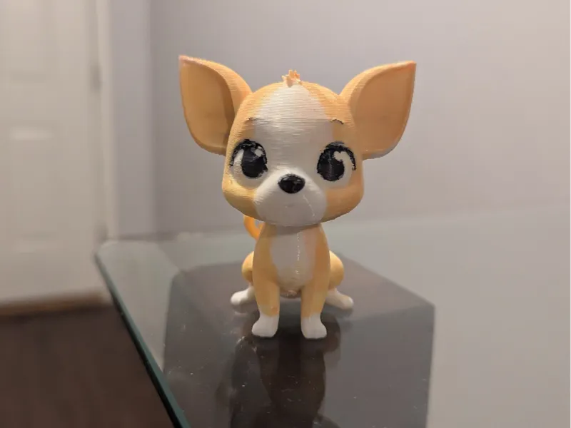 Cute Chihuahua