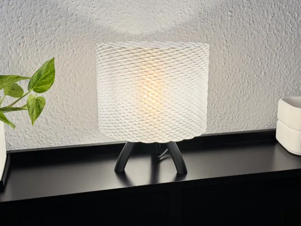 https://makerworld.bblmw.com/makerworld/model/US7de7e5037b8a18/design/2026-01-04_1fd0fb6b18c37.jpeg