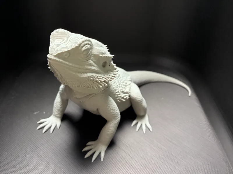 Realistische Bartagame – Detailliertes 3D Modell