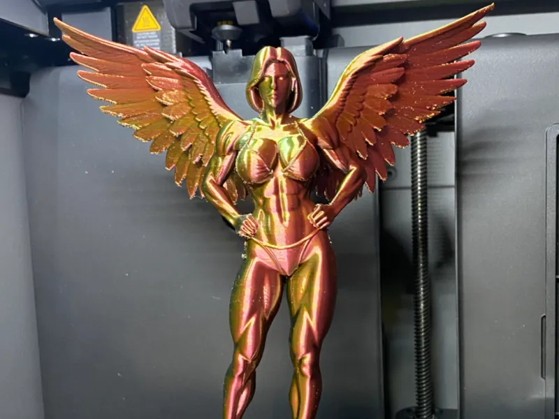 Bodybuilding angels