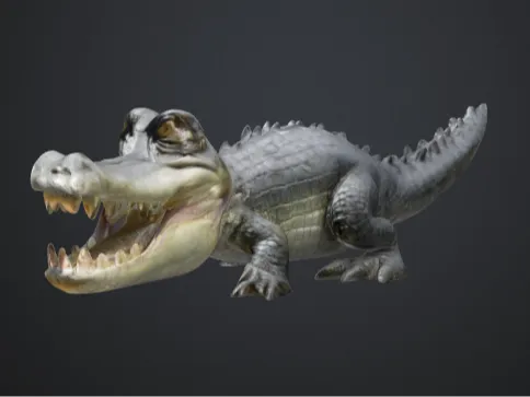 Alligator miniature