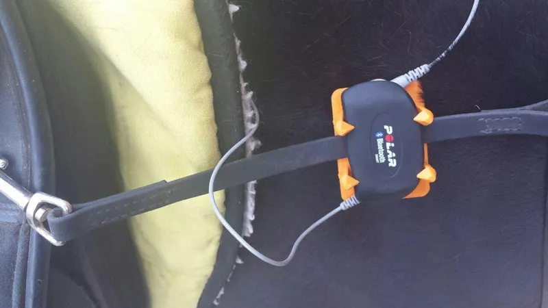 Polar Bluetooth Clip
