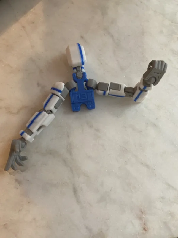 https://makerworld.bblmw.com/makerworld/model/US7df7b875f88202/design/2024-04-29_f3a955d6d668f.jpg