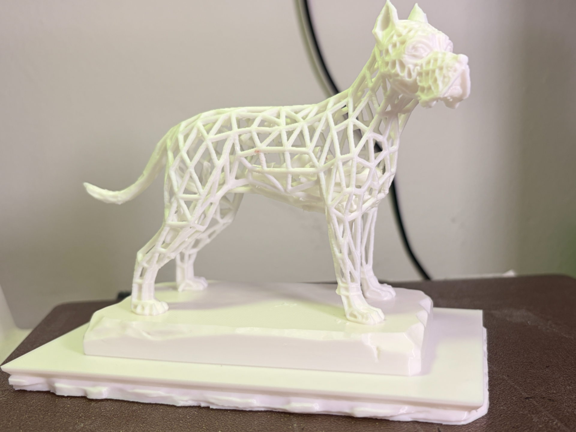 voronoi Dog