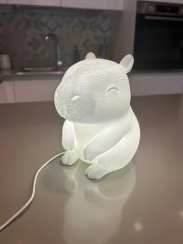 Accesorio de iluminación decorativa: Capybara Lamp — Lampada Capibara — vista de referencia 5