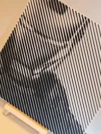 A1 mini size, 0.2mm layer, 2 walls, 10% infill