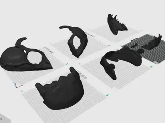 Skull Mask