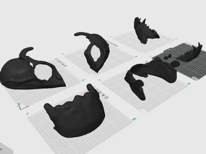 Skull Mask