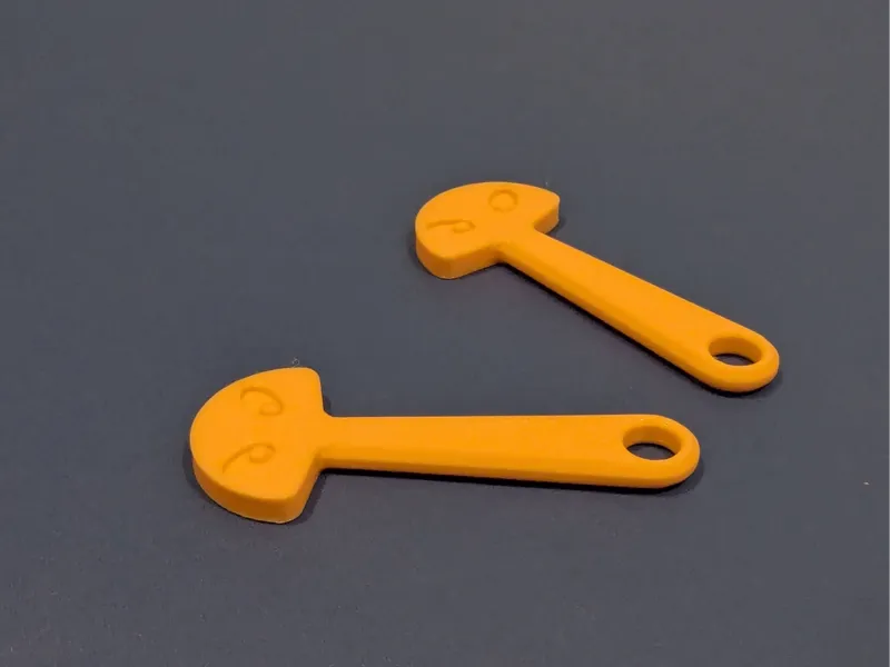 Shopping Trolley Key