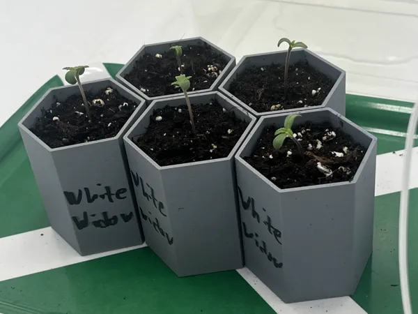 https://makerworld.bblmw.com/makerworld/model/US7e1a433ca7c3ca/design/2025-01-07_88dc2b97afac2.jpg