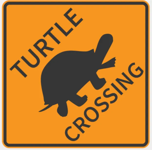 Turtle Crossing  Warning sign