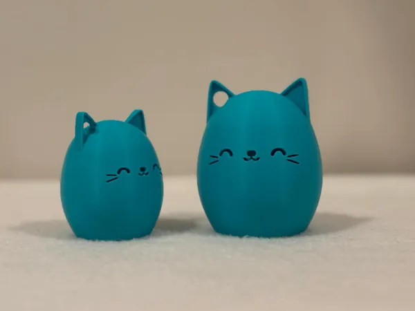 https://makerworld.bblmw.com/makerworld/model/US7e1f89cb9857fe/design/2025-02-25_9c2c78c060b4e.jpg