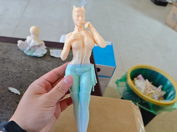 https://makerworld.bblmw.com/makerworld/model/US7e23dfd6ee6ad7/design/2025-11-27_0491061f32f31.jpg