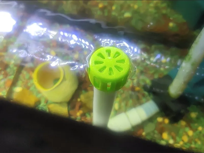 鱼缸除油膜