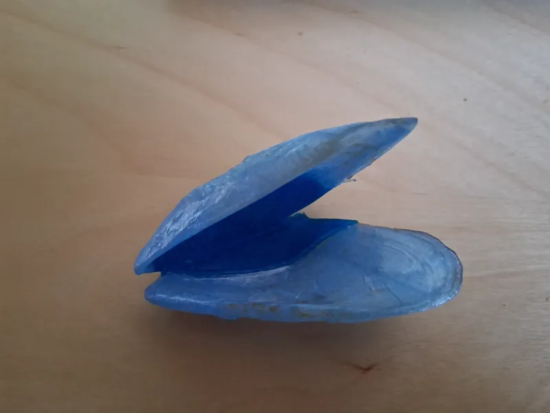 moule