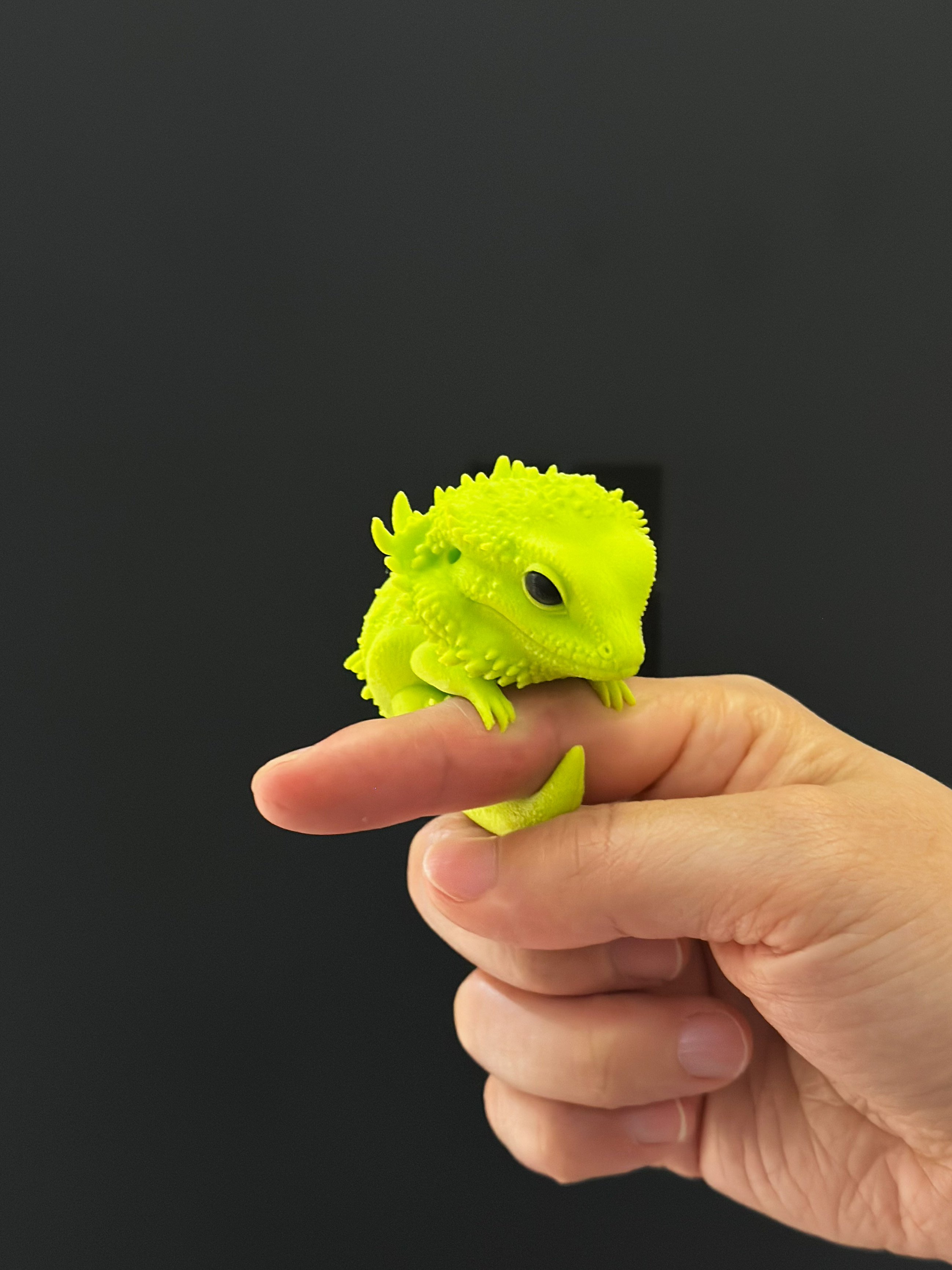Miniatura 2 do modelo 3D 解压手撸蜥蜴(撸累了趴树上歇会）