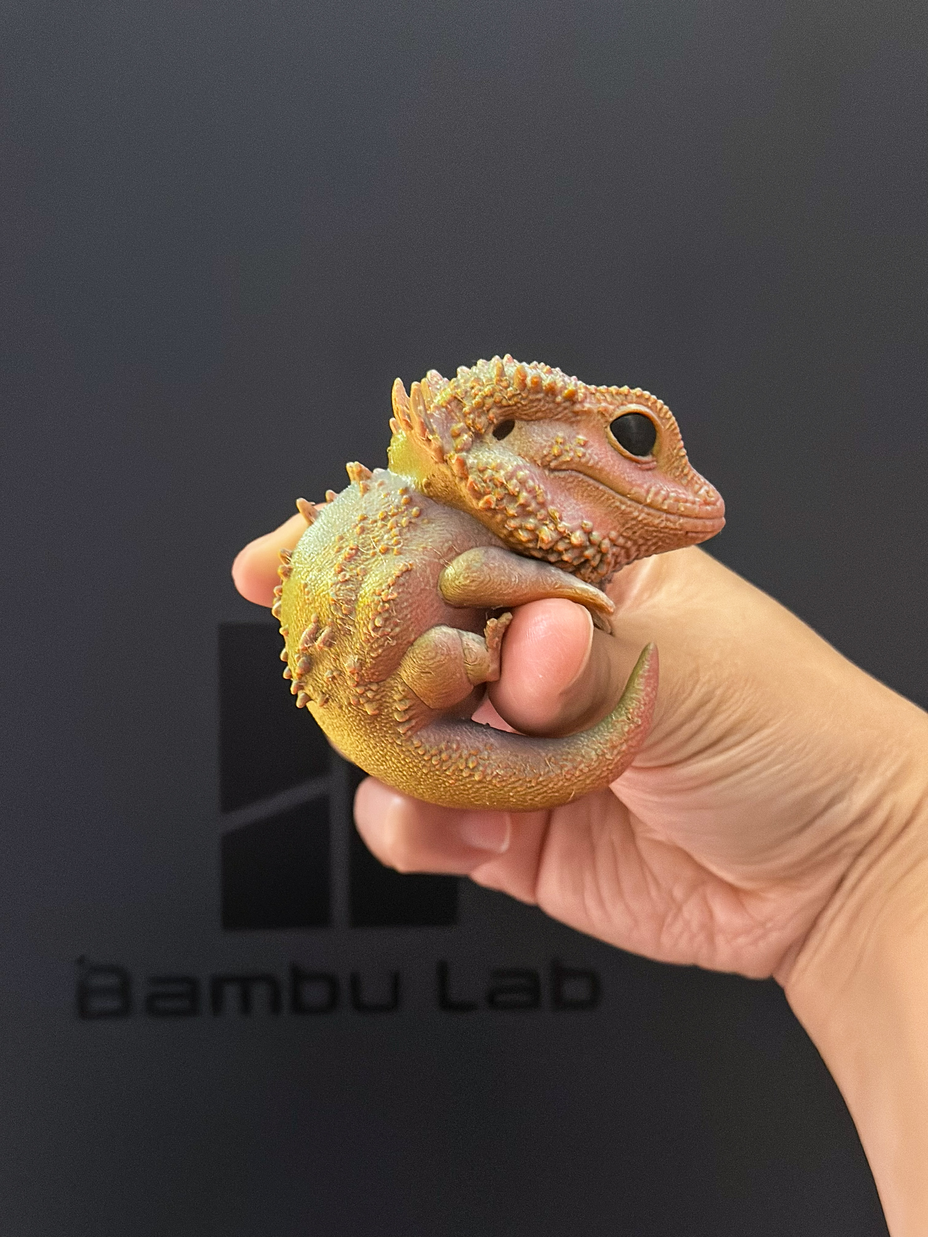 Miniatura 3 do modelo 3D 解压手撸蜥蜴(撸累了趴树上歇会）
