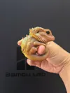 Large size fits 18mm finger