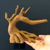 Large climbing tree