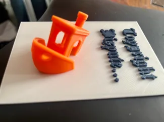 3D Benchy vs the LAW