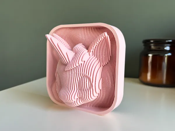 https://makerworld.bblmw.com/makerworld/model/US7e2b8a08b9d7b/design/2025-03-01_9951c2b29b56f.jpg