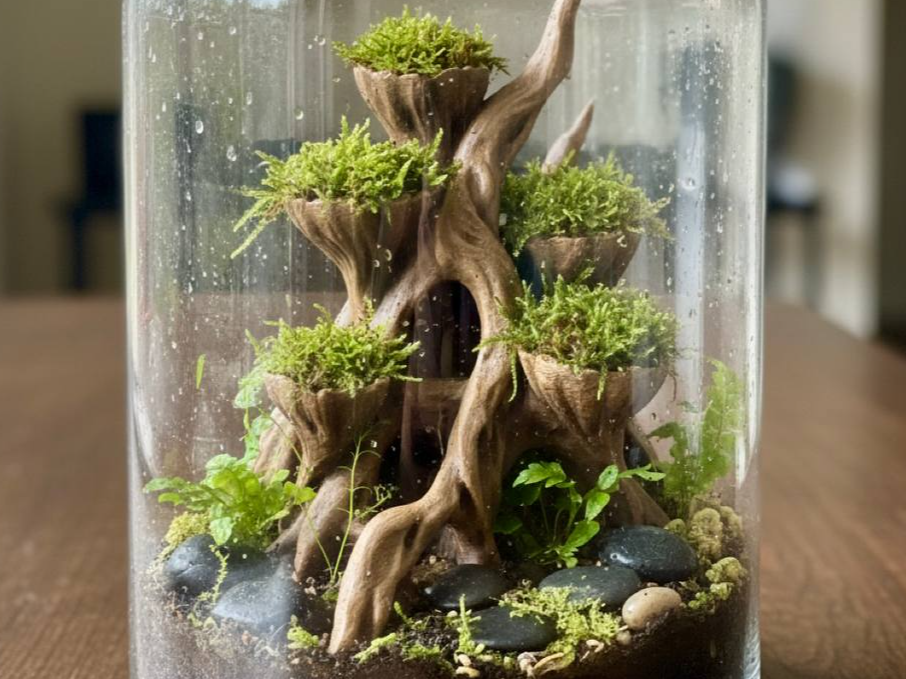 Moss Root Planter