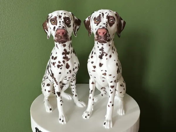 https://makerworld.bblmw.com/makerworld/model/US7e2e414dd12ce0/design/fc6def0d022136bb.jpg