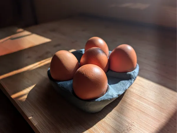https://makerworld.bblmw.com/makerworld/model/US7e305f62d97d7a/design/2025-10-13_3ad7806459508.jpg