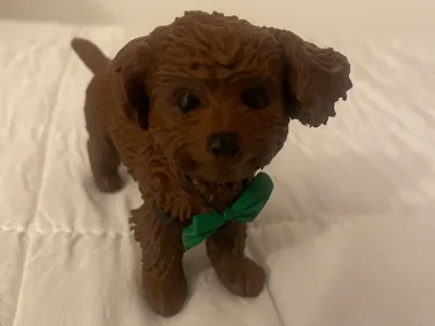 toy poodle