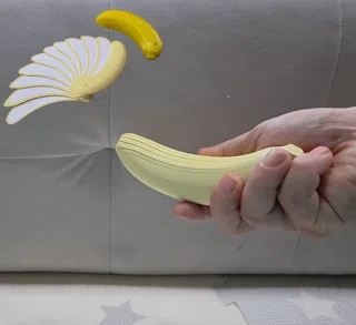 ტრანსფორმირებადი ბანანი thumbnail 1