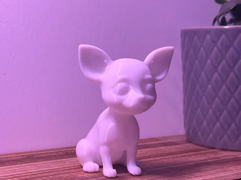 Chihuahua dog model