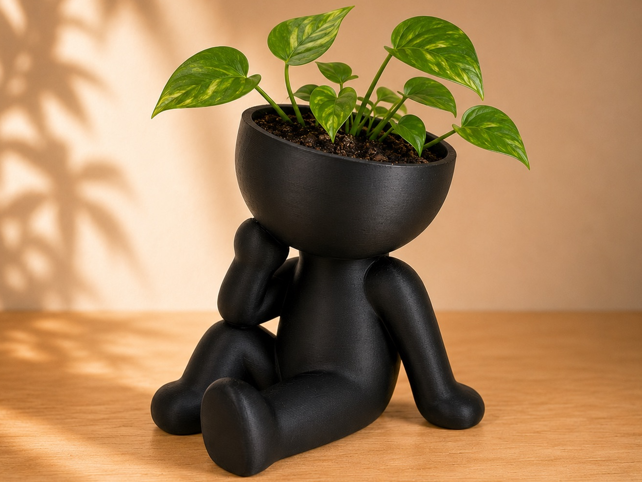 Buddy Planter – Thinking - 1