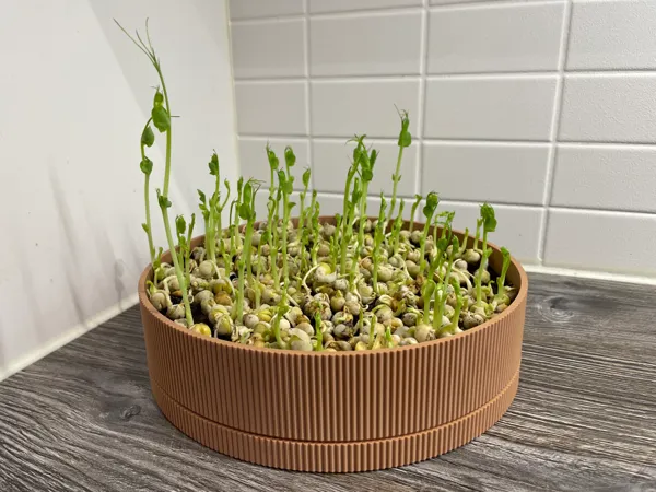 https://makerworld.bblmw.com/makerworld/model/US7e414c21ff4be7/design/2025-04-21_8d1f812e368e7.jpg