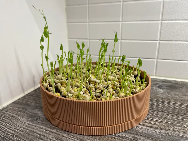 Ribbed Plant Pot With Drip Tray