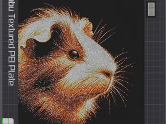 Guinea Pig Hueforge colored