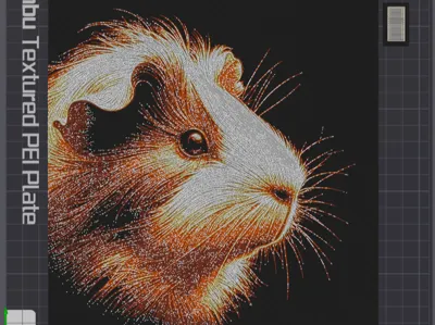 Guinea Pig Hueforge colored