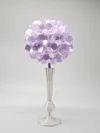 A flower with serrated petals, and it also only has a single layer of petals